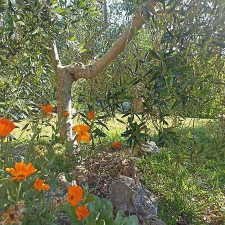 La Mandriana Villa Massa Marittima Bagian luar foto