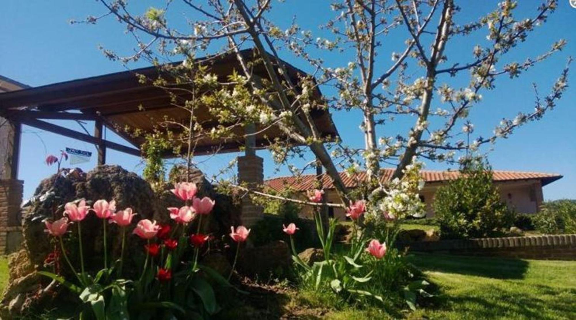 La Mandriana Villa Massa Marittima Bagian luar foto