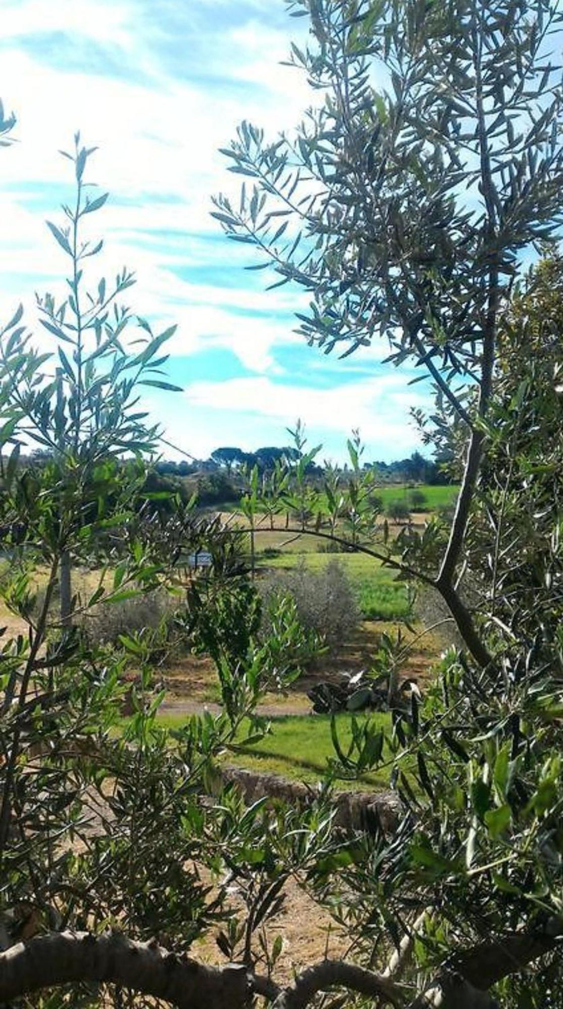 La Mandriana Villa Massa Marittima Bagian luar foto