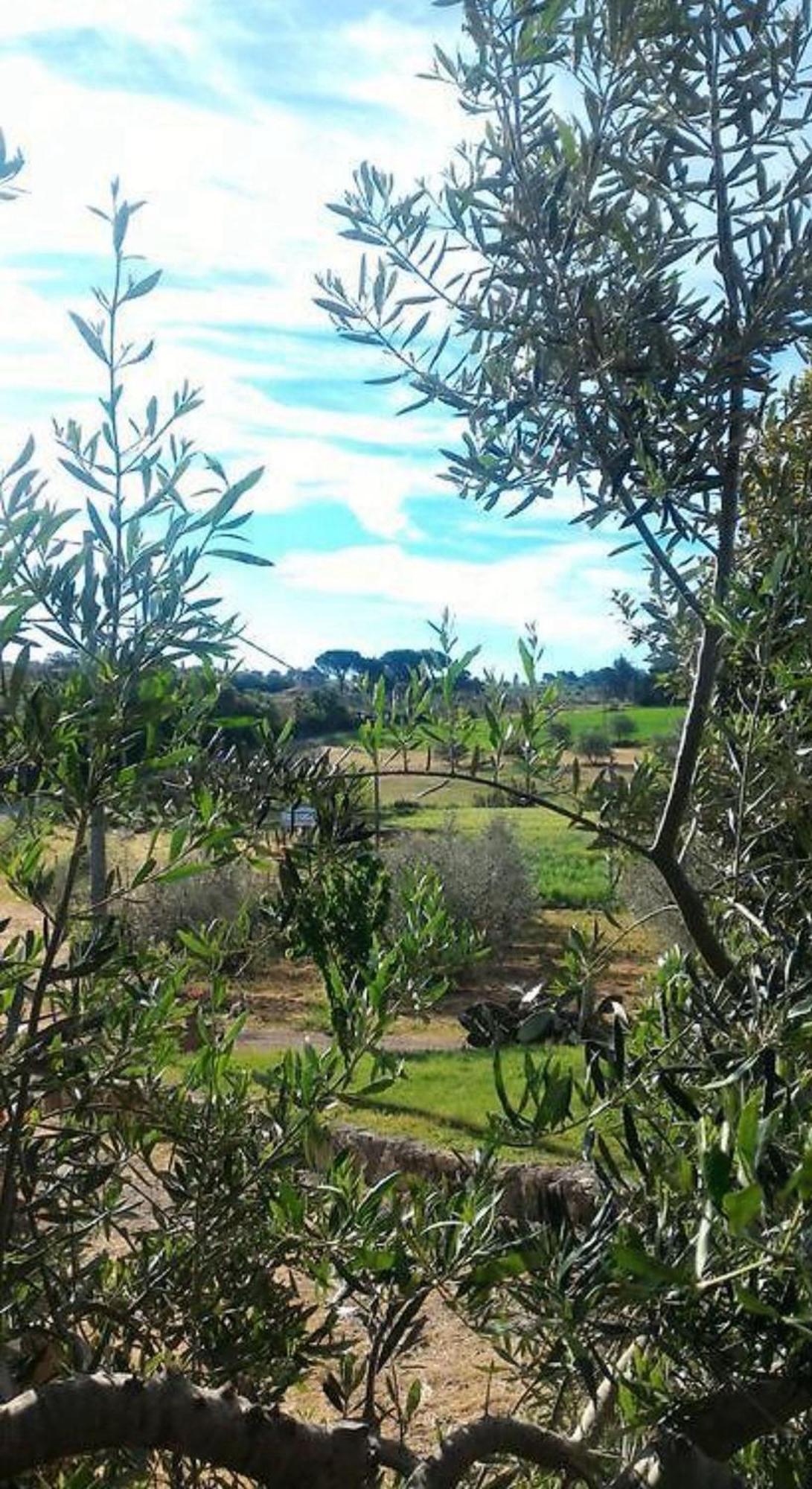 La Mandriana Villa Massa Marittima Bagian luar foto