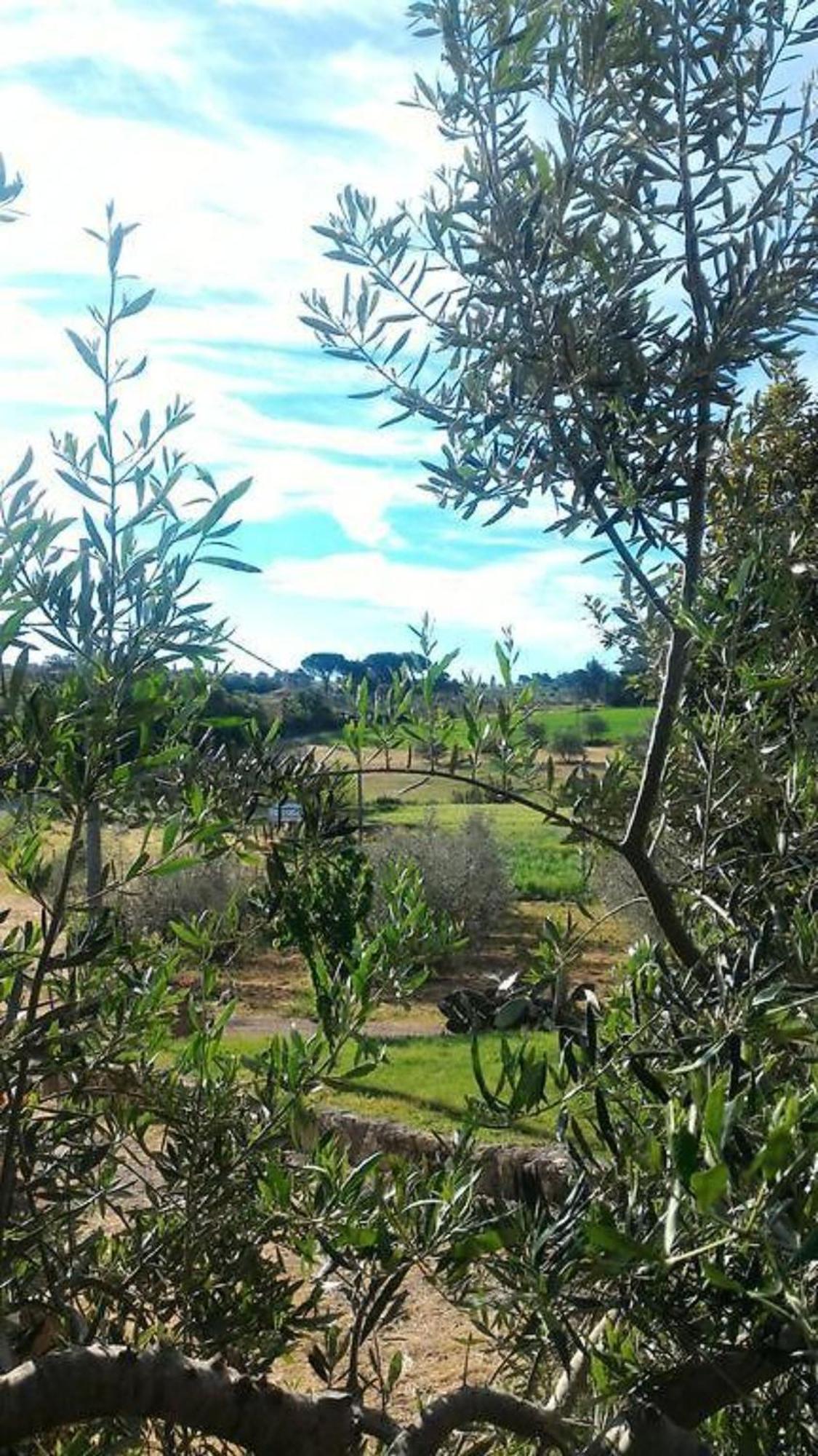 La Mandriana Villa Massa Marittima Bagian luar foto