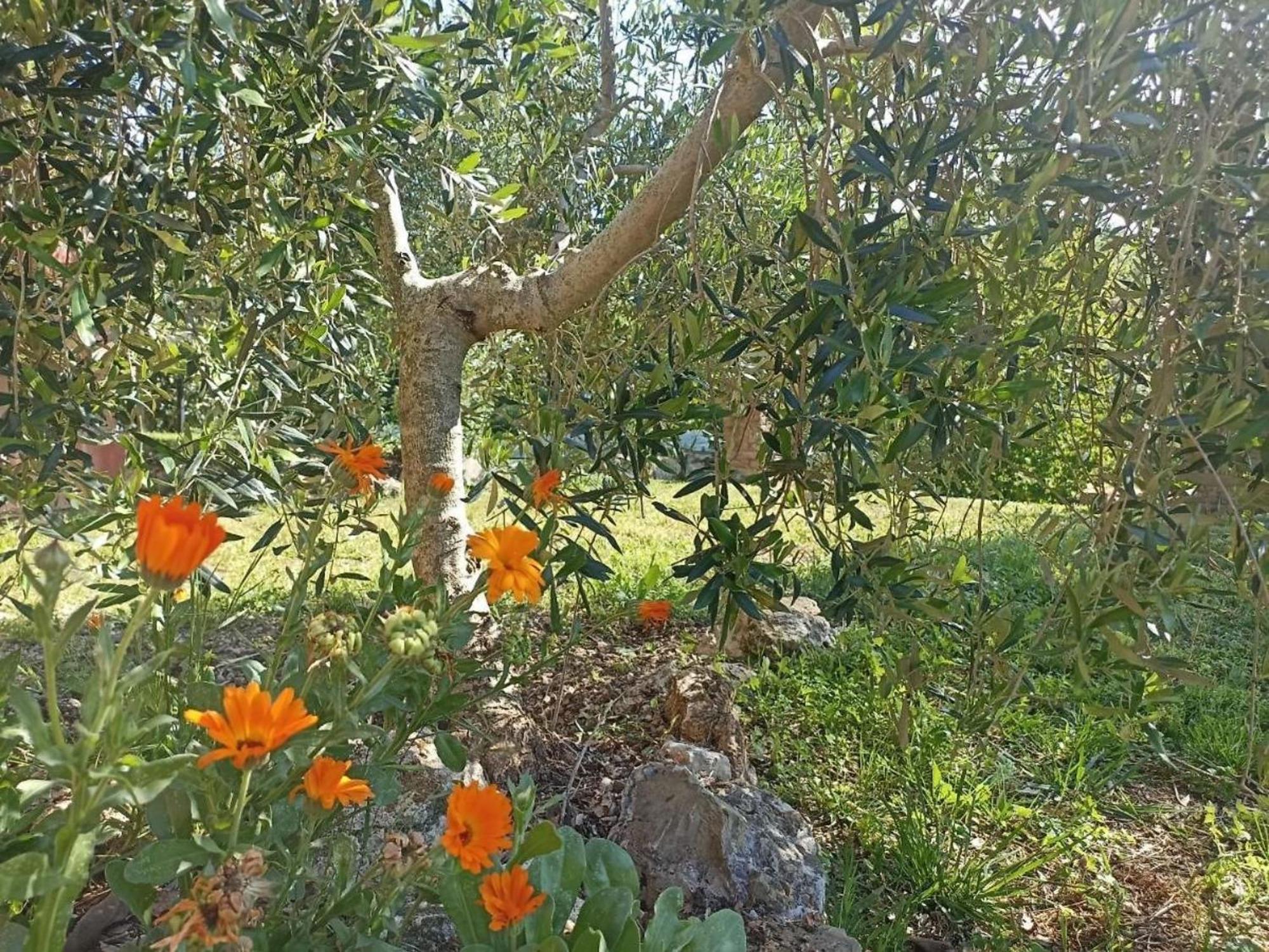 La Mandriana Villa Massa Marittima Bagian luar foto